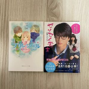 プリンシパル･センセイ君主 小説 ノベライズ本