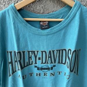 コロラド州 1995年 ハーレーダビッドソン HARLEY USAヴィンテージ古着Tシャツ/アメリカ洋楽ロックアメカジバイク西海岸ニューヨークの画像1