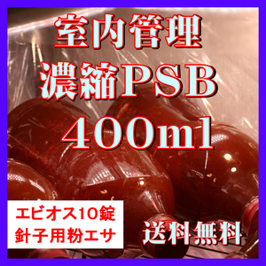 ★送料無料★ 室内管理濃縮培養PSB400ml＋エビオス10錠＋培養説明書＋針子用粉エサ　光合成細菌　水質調整、バクテリア