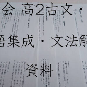 鉄緑会 高2古文・漢文 単語集成・文法解説 資料 通期分 河合塾 駿台 京大 共通テスト Z会 東進 SEG