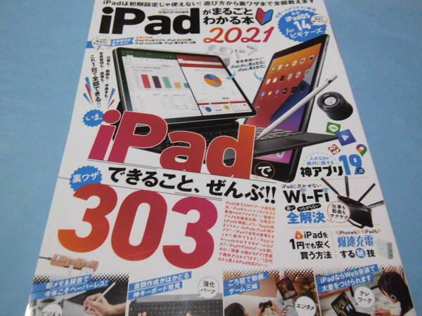 【 送料無料 】■即決■☆iPadがまるごとわかる本2021　家電批評［特別編集］