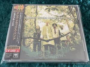 ★デレク・トラックス・バンド★ジョイフル・ノイズ★日本盤★帯付★期間生産限定盤★CD★THE DEREK TRUCKS BAND★JOYFUL NOISE★