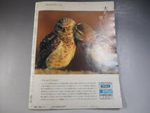 週間　アサヒグラフ　1991年10月11日　江戸の考古学東京を掘る_画像8