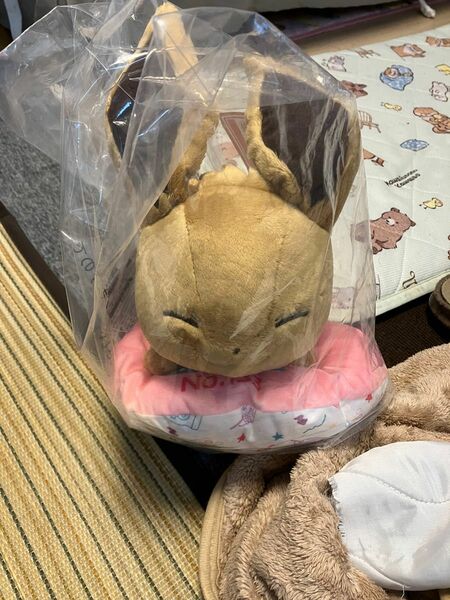 ポケモン イーブイ ポケットモンスター でっかいぬいぐるみ