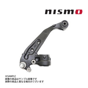 NISMO ニスモ ヘリテージ エクステンション コンプリート 助手席側 スカイライン GT-R BNR34 1999/1- 54591-RHR40 (660152071