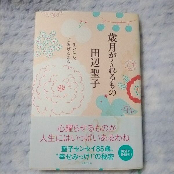 歳月がくれるもの　まいにち、ごきげんさん 田辺聖子／著