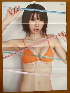 ◆即決◆　えなこ　特大ポスター 44