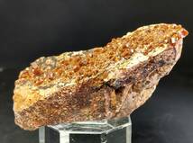 バナジン鉛鉱 （褐鉛鉱 Vanadinite） バナジナイト 産地 モロッコ_画像2