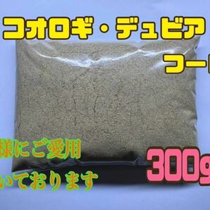 コオロギ・デュビアフード 300g 24時間配送　共食い防止に！　高品質低価格