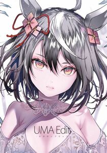 「UMA edit」狼ト生キル ウマ娘 同人誌 キタサンブラック　B5 20p/イラスト集