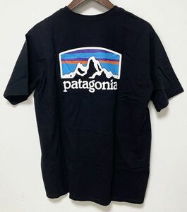 パタゴニア Tシャツ Sサイズ メンズ フィッツロイ ホライゾンズ レスポンシビリティー PATAGONIA 38501 BLK