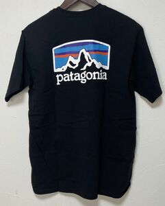 パタゴニア Tシャツ XSサイズ メンズ フィッツロイ ホライゾンズ レスポンシビリティー PATAGONIA 38501 BLK