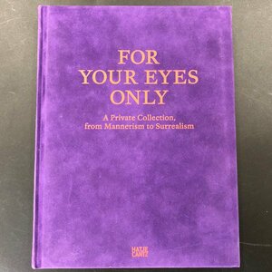 『For Your Eyes Only』2014年 バーゼル美術館 展覧会カタログ プライベート バーゼル コレクション