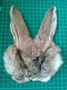  rabbit mask face V inspection ) fly material ton kala tying fur black .. raw .. gothic fur interior rabbit .