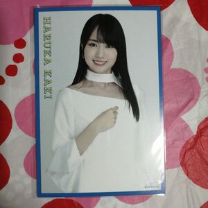 乃木坂46　賀喜遥香　特典ポストカード(非売品)　齋藤飛鳥卒業コンサート