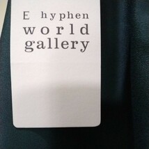 大きいサイズ　スカート　★　E hyphen world gallery_画像5
