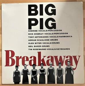 送料込み）ＢＩＧ　ＰＩＧ　　１２インチ　BＲＥＡＫＡＷＡＹ　国内見本盤