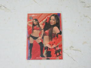 BBM2016 MIZUHO 女子プロレス 096