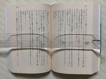 「ガン・ストリート・ガール」「レイン・ドッグズ」エイドリアン・マッキンティ／著　武藤陽生／訳　ハヤカワ・ミステリ文庫　全初版_画像9