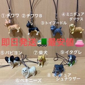 新品未使用REALDOGストラップ　チワワ　トイプードル　Mダックス　パピヨン　ペキニーズ　柴犬　Mシュナ　イタグレ　各1個ずつ