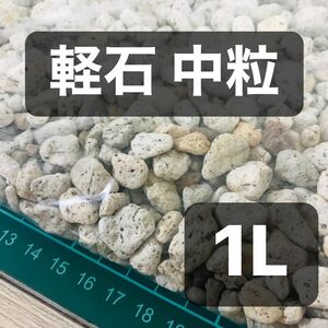 2 軽石 中粒 1L 多肉植物 サボテン 観葉植物土 魂根植物