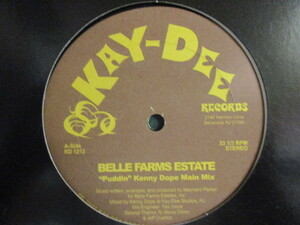 ★ Belle Farms Estate ： ''Puddin'' Kenny Dope Remix 12'' ☆ (( Disco Boogie / 落札5点で送料無料