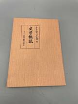 文学概説　昭和四十三年九月三十日発行　一冊　古書古文書和書古本骨董古美術　　_画像1