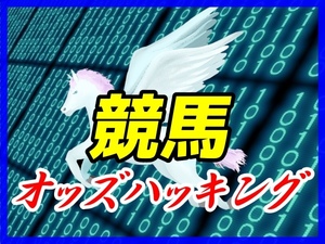 ☆投資競馬の必需品 完全フリー競馬オッズハッキングソフト 投資金削減効果機能付 完全オリジナル 資金配分ソフト 簡単操作 副業 サポート