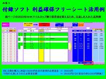 ☆投資競馬が今解き明かされる！ FANALオッズハッキング 的中率７０％を叩き出す！役立つ付録付！ オリジナルソフト 副業 サポート 初心者_画像9