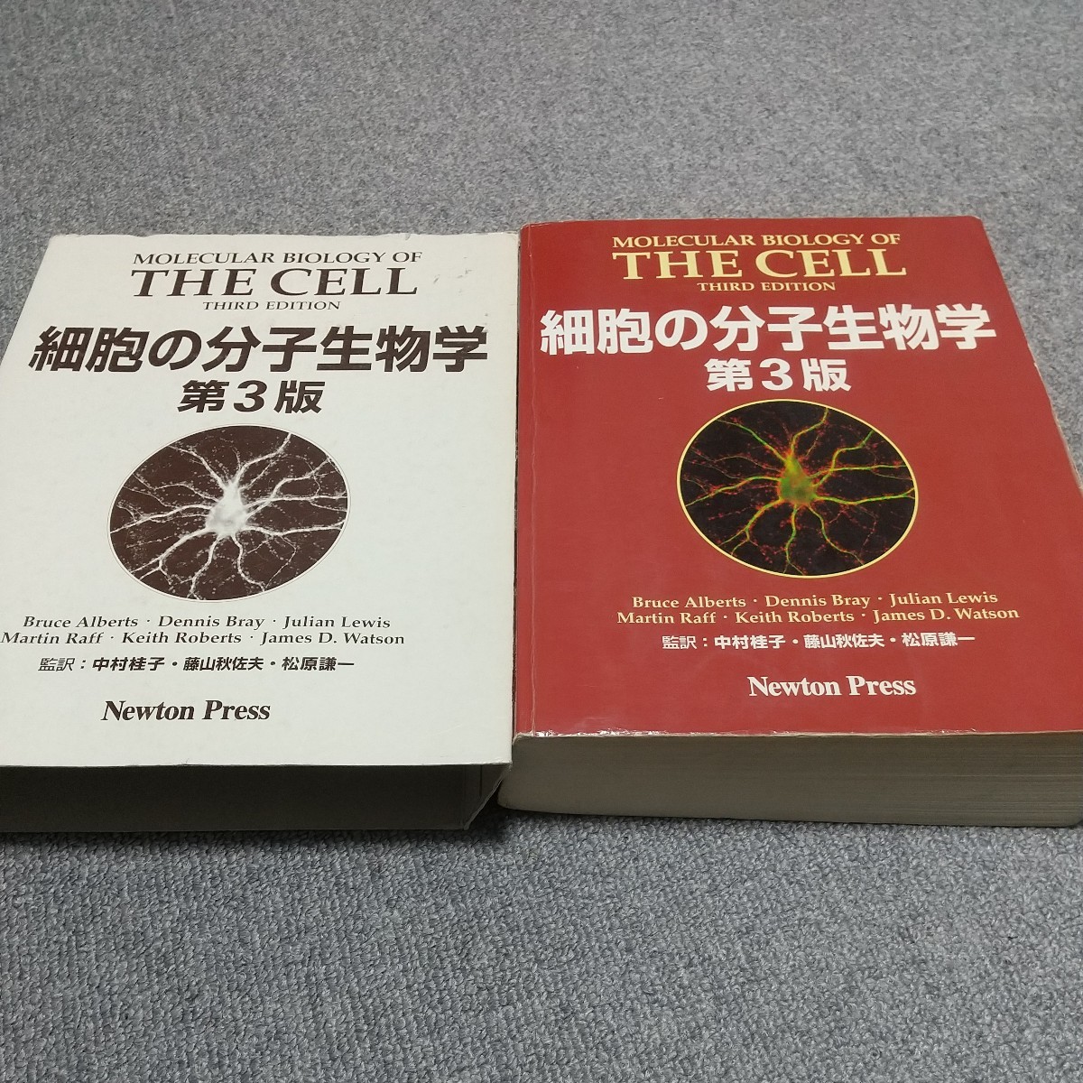 2023年最新】ヤフオク! -第3版(生物学)の中古品・新品・古本一覧