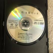 邦画ＤＶＤ 「同じ月を見ている」ずっと一緒にいたかった　黒木メイサ　窪塚洋介_画像3