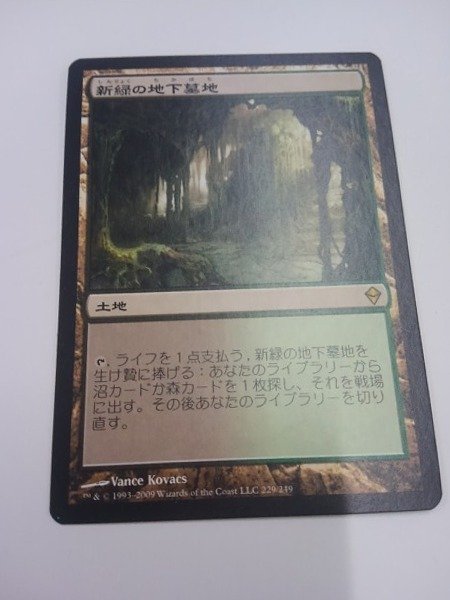 最も優遇 MTG 新緑の地下墓地/Verdant 4枚 エッチング Catacombs