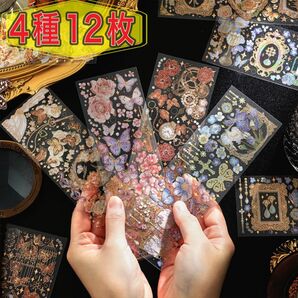 四野星シリーズ PET 金 ステッカー コラージュ 4種12枚A288
