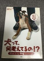 犬って、何考えてるの!? 　グウェン・ベイリ― (著)　近藤 修 (翻訳)_画像1