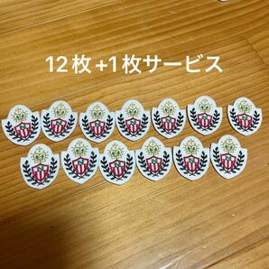 「N」 刺繍ワッペン 12枚+1枚サービス ③