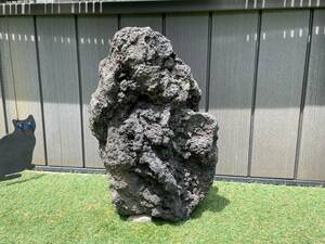  unused ADA. mountain stone XXL. rock parent stone extra-large good type height 54cm 46Kg hole none type nature aquarium biotope etc. 