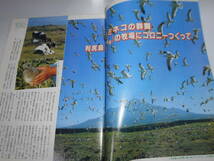 週刊読売 1988年昭和63年.8 21 私はこうして社長になった・有名100社トップの経歴/さいとうたかを新連載 呂明賜がゆく/エデン馬渕/伊藤勇気_画像4