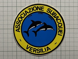 外国 古いステッカー：ASSOCIAZIONE SUBACQUE VERSILIA イルカ イタリア スキューバ ダイバー ビンテージ カスタム +Ja