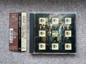 スカフロウズ 「ルーディーズ・バック」　中古CD　帯付き　THE SCOFFLAWS　SKA　スカ