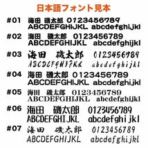 ★エリアトラウト①【シルバー】W100mm×H70mm　カッティングステッカー_画像6