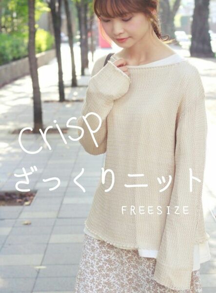 Crisp 透かし編み ざっくりニット 長袖ニットプルオーバー☆肩や腕の体型カバーにも！☆FREESIZE