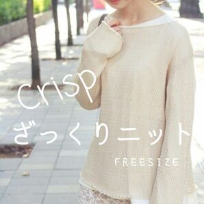 Crisp 透かし編み ざっくりニット 長袖ニットプルオーバー☆肩や腕の体型カバーにも！☆FREESIZE