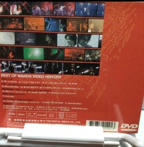 WANDS 「BEST OF WANDS VIDEO HISTORY」DVD　台湾正規販売品_画像2