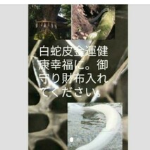 白蛇皮厄除けお守りつき　波動好転　つらいこと重なるあなたを改善　お祓いし霊視し新しい人生に！陰陽師りんかい先生本物です。_画像1