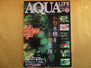 * aqua life 2009-10* small size aquarium & small size beautiful fish *