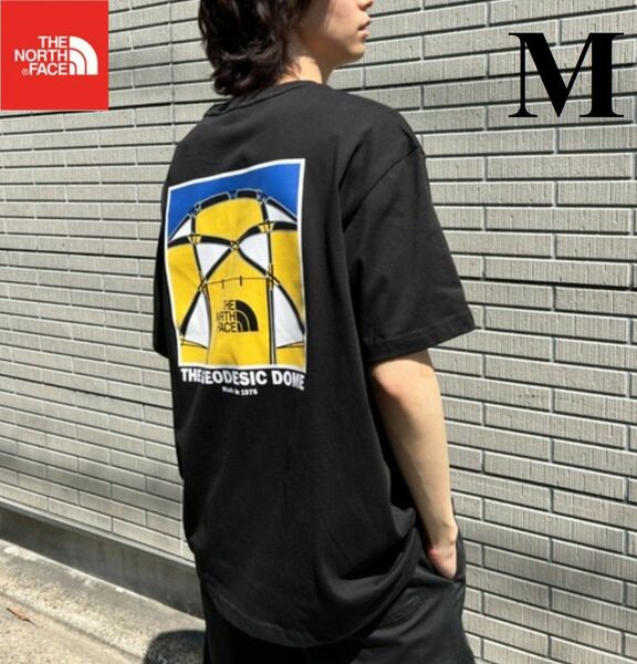 THE NORTH FACE ノースフェイス Tシャツ 半袖 綿 メンズ レディース 抗菌バックプリント ブラック M K459A