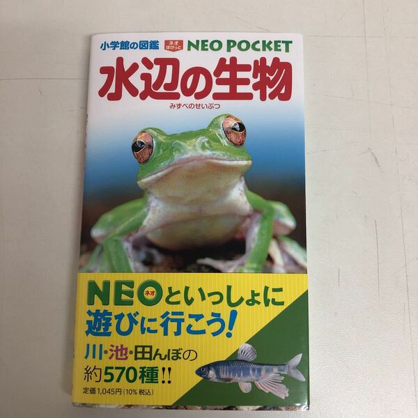 小学館の図鑑　NEO POCKET 水辺の生物