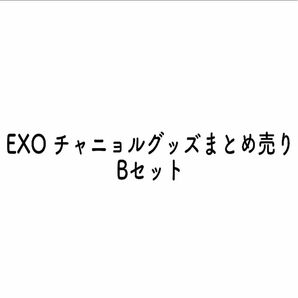 EXO チャニョル公式グッズ B