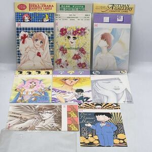 花とゆめ カセットインデックス ★開封〜未開封 大量セット★サラディナーサ デカキャラ オータムギャラリー 河惣益巳 日渡早紀 ふろく