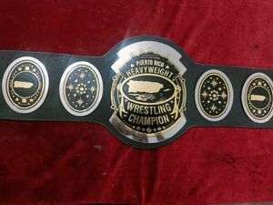 海外　限定品　送料込み　AWA SOUTHERN HEAVYWEIGHT DUAL 　プロレス　チャンピオン　優勝　ベルト　高品質　レプリカ 2